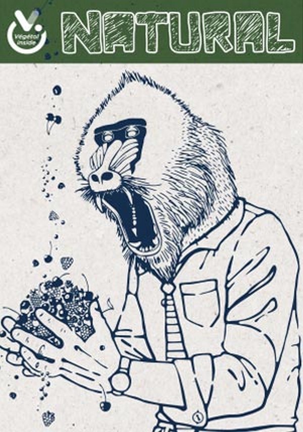 avis-natural-curieux-blog-le-petit-vapoteur